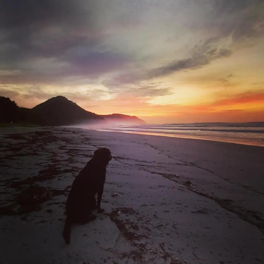 Praia de Itamambuca- Casa charmosa e iluminada Ubatuba Esterno foto